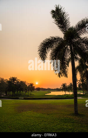 Splendido campo da golf durante il tramonto per lo sfondo Foto Stock