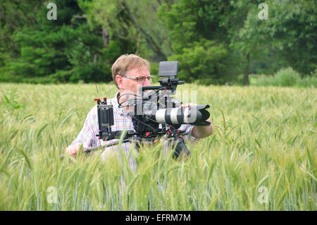 Cameraman al lavoro in un campo di grano Foto Stock