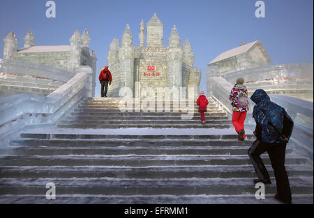 Harbin, Provincia di Heilongjiang, Cina. Xiv gen, 2015. Cinese e i turisti stranieri che visitano la annuale internazionale di ghiaccio e Snow Sculpture Festival di Harbin, la capitale della Cina nord-est della provincia di Heilongjiang, 14 gennaio 2015. Il festival è il più grande del suo genere in tutto il mondo e per mostrare la più grande sculture di neve e ghiaccio in tutto il mondo come bene. Il festival si concluderà alla fine di febbraio. © Stephen rasoio/ZUMA filo/Alamy Live News Foto Stock