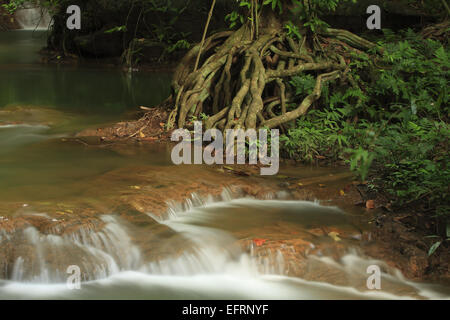 Le cascate di Thanbok Khoranee national park, Krabi, Thailandia Foto Stock