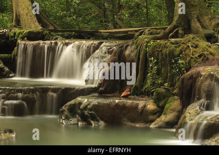 Le cascate di Thanbok Khoranee national park, Krabi, Thailandia Foto Stock