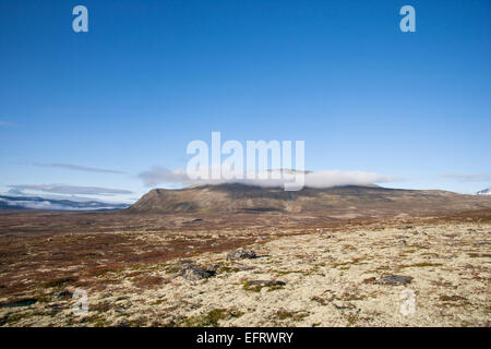 Dovrefjell Sunndalsfjella Parco Nazionale Foto Stock