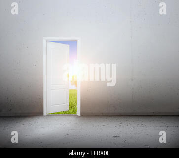 Aprire la porta a un nuovo mondo migliore, il verde paesaggio estivo. Conceptual nuovo modo, ingresso al nuovo mondo, la vita, la speranza. Foto Stock