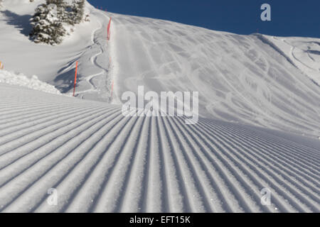 Sfondo di sci - neve fresca sulla pista da sci nelle Dolomiti Foto Stock