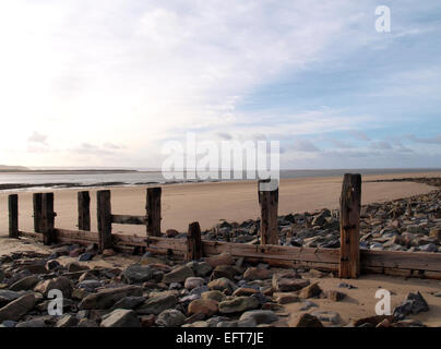 Vecchi pennelli su Saunton Sands Beach, Devon, Regno Unito Foto Stock