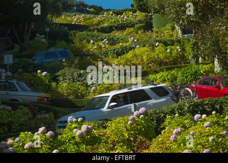 Sfocata traffico AUTO LOMBARD STREET RUSSIAN HILL QUARTIERE SAN FRANCISCO CALIFORNIA USA Foto Stock