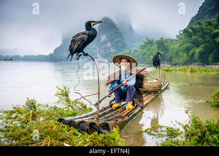 Cormorano pescatore e il suo uccello sul fiume Li in Yangshuo, Guangxi, Cina. Foto Stock