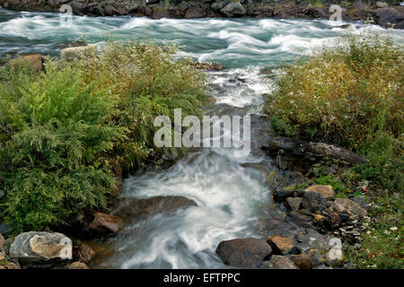 BU00084-00...BHUTAN - lato vapore unisce la Wang Chhu (fiume) nella città capitale di Thimphu. Foto Stock