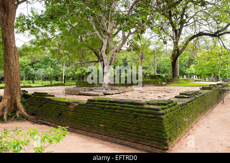 Antiche rovine di Anuradhapura, Anuradhapura, Sri Lanka. Foto Stock