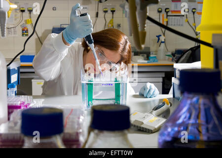 La ricerca Dipartimento di Biologia del cancro, UCL Cancer Institute Paul O'andare Foto Stock