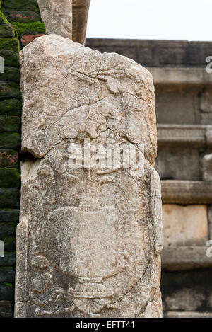 Elephant bassorilievo, Abhayagiri Dagoba, Anuradhapura, Sri Lanka. Foto Stock