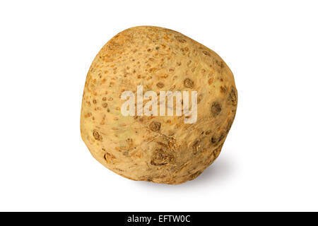 Radice di sedano isolato su un bianco Foto Stock