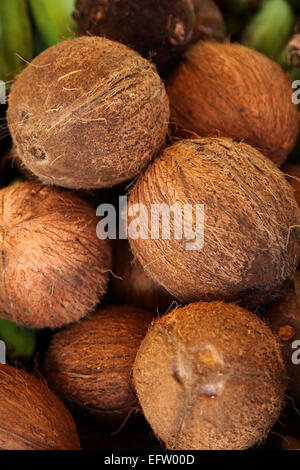 Un mucchio di noci di cocco su una fase di stallo in un mercato dei Caraibi Foto Stock