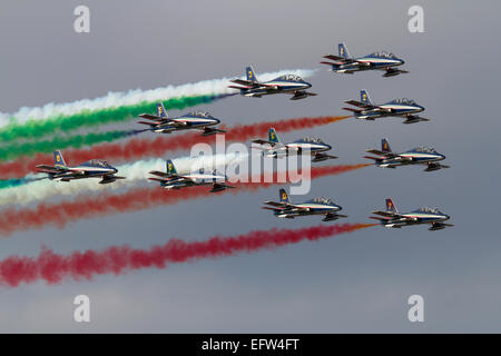 L'Italia Frecce Tricolori aerobatic team display volare in formazione e rendendo il fumo durante un display airshow Foto Stock