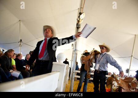 I banditori durante una di noi esegue il marshalling di un'asta di più di 300 quarter horses e cavallo-relative attrezzature appartenenti a Rita Crundwell, che è stato caricato con embezzling $53 milioni di euro dalla città di Dixon Settembre 23, 2012 in Dixon IL. Foto Stock