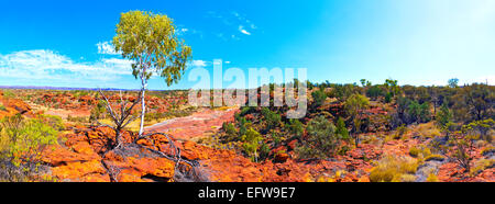 Palm Valley panorama in Australia centrale di Territorio del Nord Foto Stock