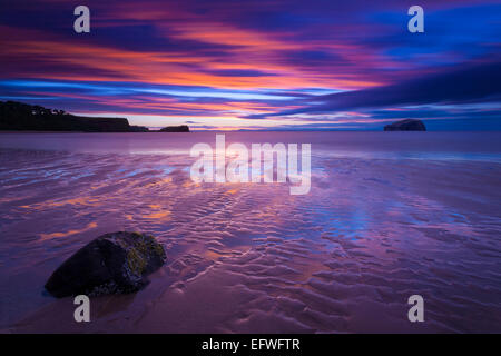 Mentre la marea stava uscendo questa roccia e la sabbia increspata fece un grande primo piano, con la Bass Rock all'orizzonte, Seacliff Ebach, East Lothian Foto Stock