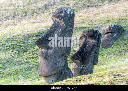 Due statue Moai accanto a ogni altra sull'Isola di Pasqua Foto Stock