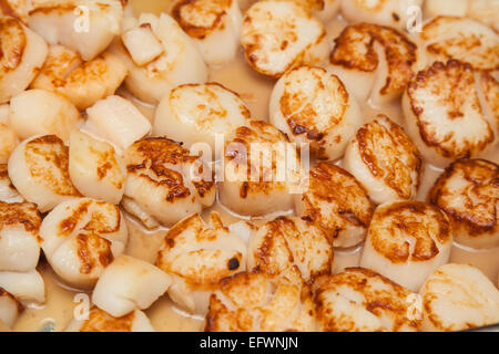 Filetto di pesce con salsa miscelata pronta per essere servita Foto Stock