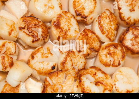 Filetto di pesce con salsa miscelata pronta per essere servita Foto Stock