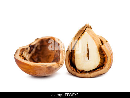 Nocciole tritate close up isolati su sfondo bianco Foto Stock