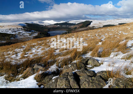 Taf Fechan serbatoi, il Parco Nazionale di Brecon Beacons, Powys, Wales, Regno Unito. Foto Stock