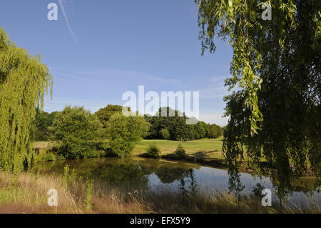 La vista dello stagno e gli alberi di salice sul foro17th verso il verde Windlesham Golf Club Bagshot Surrey in Inghilterra Foto Stock
