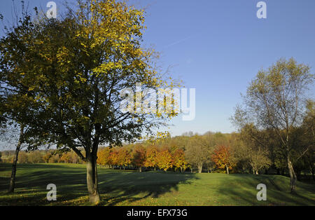 Drammatico Autunno colori sugli alberi dietro il XIV Green ha rotto Hill Golf Club Orpington Kent England Foto Stock