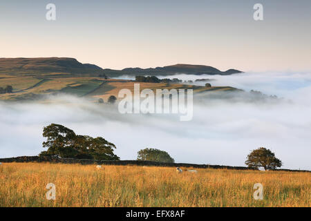 Una nebbiosa mattina sopra Stainforth nel Yorkshire Dales, con una vista in lontananza del Warrendale Knotts, vicino a Settle Foto Stock