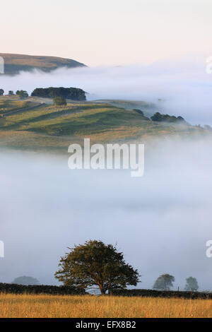 Una nebbiosa mattina sopra Stainforth nel Yorkshire Dales, con una vista in lontananza del Warrendale Knotts, vicino a Settle Foto Stock