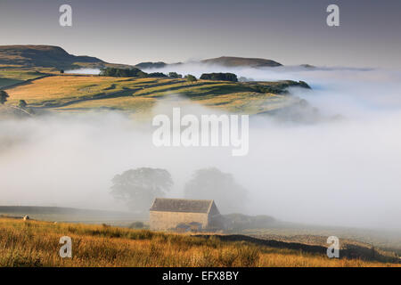 Una nebbiosa mattina sopra Stainforth nel Yorkshire Dales, con una vista in lontananza del Warrendale Knotts, vicino a Settle Foto Stock