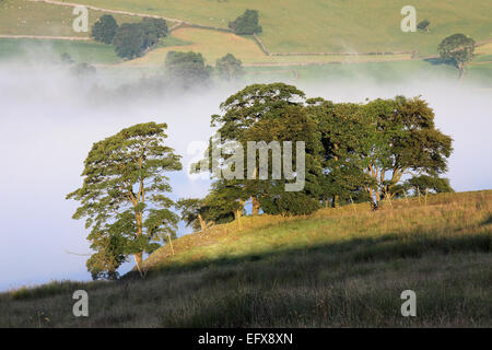 Una nebbiosa start sopra Stainforth nel Yorkshire Dales National Park, Inghilterra Foto Stock