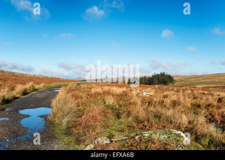 Una via avvolgimento passato Sheepstor su Dartmoor Nationla Park in devon Foto Stock