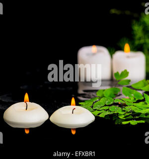 Spa sullo sfondo di un ramo verde gli asparagi, felce e candele su zen pietre di basalto con gocce in acqua di riflessione Foto Stock