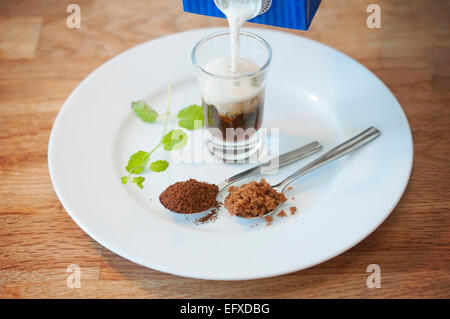 Specialità fatte in casa bevanda al caffè con menta fresca, lo zucchero di canna e di schiuma di latte di soia. Servire con ghiaccio o caldo. Foto Stock