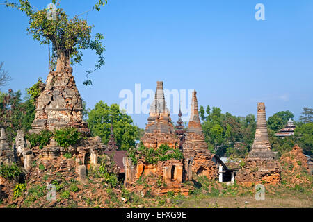 Antichi mattoni rossi stupa buddisti nei pressi del villaggio in Dein / Indein, Lago Inle, Nyaungshwe, Stato Shan, Myanmar / Birmania Foto Stock