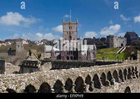 St David's Cathedral dal Palazzo del Vescovo Pembrokeshire West Wales UK Foto Stock