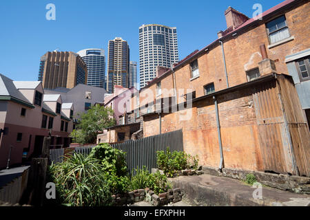 Parte posteriore del XIX secolo terrazza di case formando Susannah Place Museum e moderna e contemporanea in blocchi di Torre di Sydney NSW Australia Foto Stock