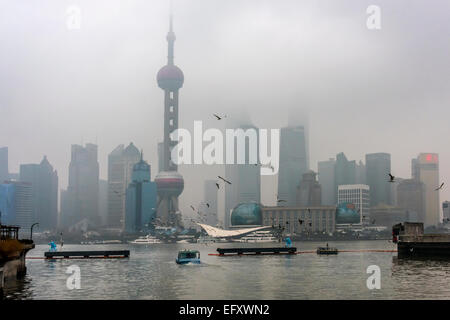 Lo skyline di Pudong con i gabbiani, Shanghai, Cina Foto Stock