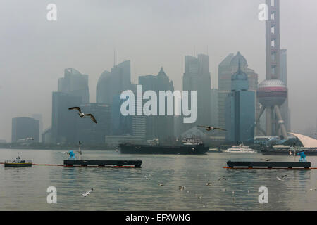 Lo skyline di Pudong in un giorno di pioggia con i gabbiani, Shanghai, Cina Foto Stock