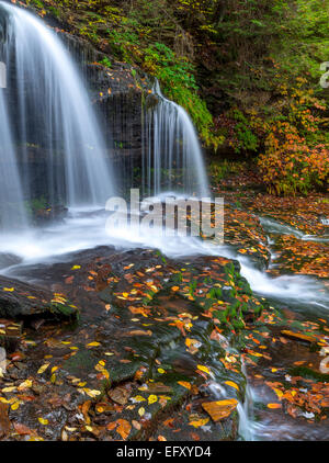 Ricketts Glen State Park, PA: Mohawk cade su cucina Creek in autunno Foto Stock