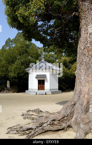 Vintage tempio giapponese con albero della canfora Foto Stock