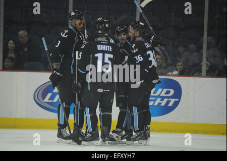 Rosemont, IL, Stati Uniti d'America. Xi Febbraio, 2015. Milwaukee Ammiraglio di Squadra celebrare un punteggio obiettivo durante la American Hockey League tra i lupi di Chicago e Milwaukee Admirals all'Allstate Arena in Rosemont, IL. Patrick Gorski/CSM/Alamy Live News Foto Stock