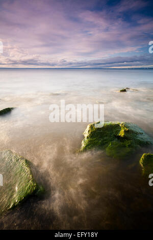 Cianobatteri copre le rocce sul lago Ontario durante un colorato sunrise. Burlington, Ontario, Canada. Foto Stock