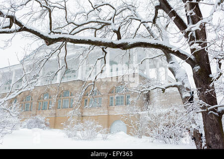 Vista della Cameron Galleria al Palazzo di Caterina, Tsarskoe Selo, San Pietroburgo, Russia, l'Europa. Foto Stock