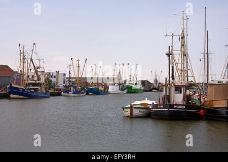 Frese di pesca nel porto di Buesum, Dithmarschen district, Schleswig-Holstein, Mare del Nord, Germania, Europa Foto Stock