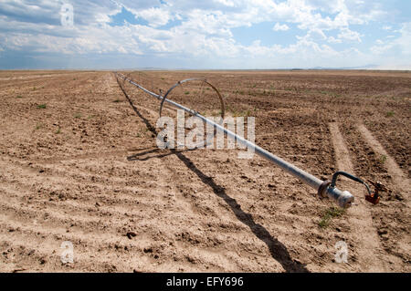 Ruota di sprinkler in linea secco campo incolto in sud-Idaho centrale Foto Stock