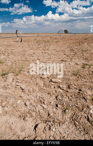 Ruota di sprinkler in linea secco campo incolto in sud-Idaho centrale Foto Stock