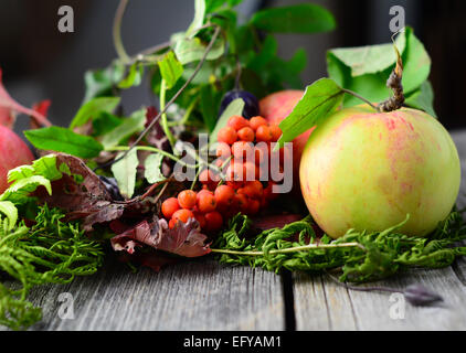 Autunno still life: mele, rowan bacche e foglie di albero su un tavolo di legno, close up Foto Stock