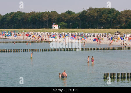 Baltic Beach a Ahrenshoop sul Darß, Mecklenburg Vorpommern - Foto Stock